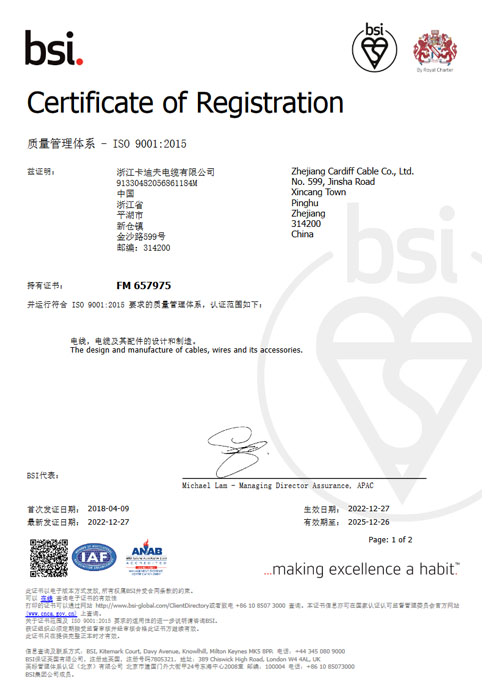 2022 BSI ISO9001:2015